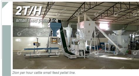 Small Feed Pellet Line For Making Livestock Poultry Feed Pellets