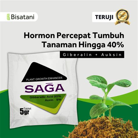 Jual Pupuk Daun Akar Batang Nutrisi Tanaman Tablet SAGA Pupuk NPK