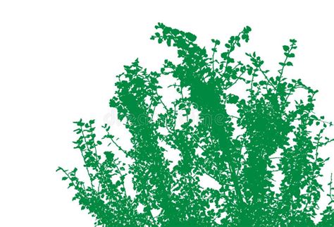 Shrub Silhouette Stock Illustrations 3691 Shrub Silhouette Stock