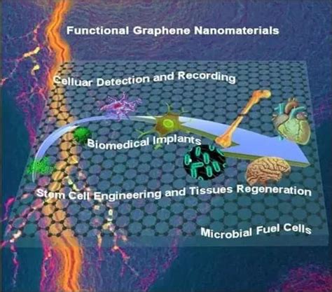 Chemical Reviews探寻功能化石墨烯基复合材料在生物学及医学领域的新兴高端应用