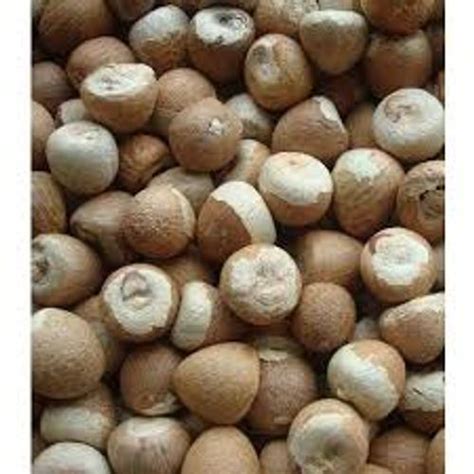 Brown Round Normal Commonly Cultivated Raw Dried Original Flavor Betel