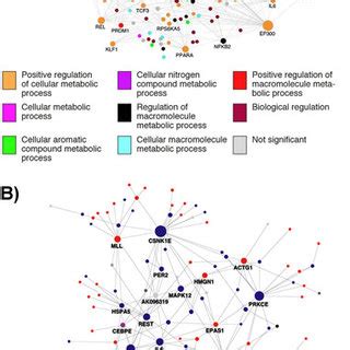 Direct Interaction Networks As Documented By MetaCoreTM Between Genes