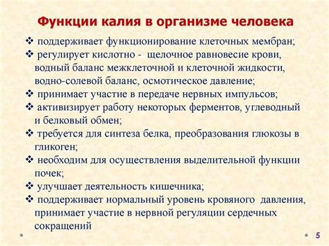 Калий в организме человека и определение его содержания с помощью гамма ...