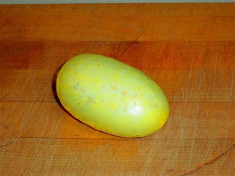 Boothby S Blonde Cucumber A Unique And Delicious Heirloom