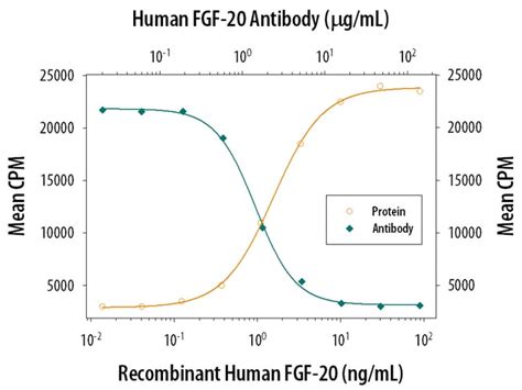 Human FGF 20 Antibody R D Systems 100μg Unlabeled Antibodies