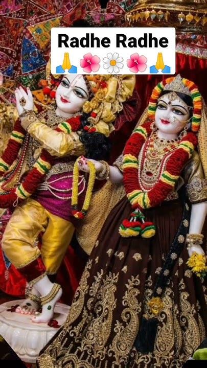 Radhe Krishna Best Bhajan Status🌺🌼🌺 ️krishna Best Bhajan🙏🙏🙏