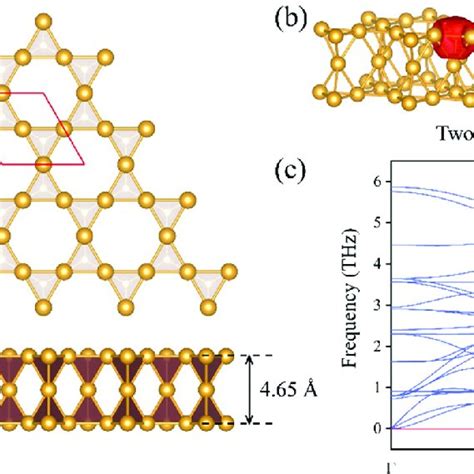 A Top And Side Views Of The Au 4 Monolayer The Primitive Cell Is