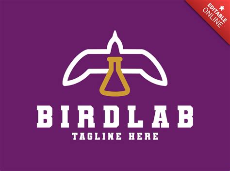 Mod Le De Conception De Logo De Laboratoire D Oiseaux Mod Le De