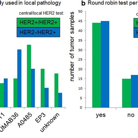 HER2 test platform in routine use. a Antibody used for local HER2 IHC ...