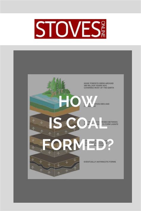 What Is Coal And How Is It Formed Stovesonline School Science