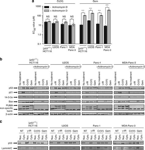 Gemcitabine Mediated Tumour Regression And P53 Dependent Gene