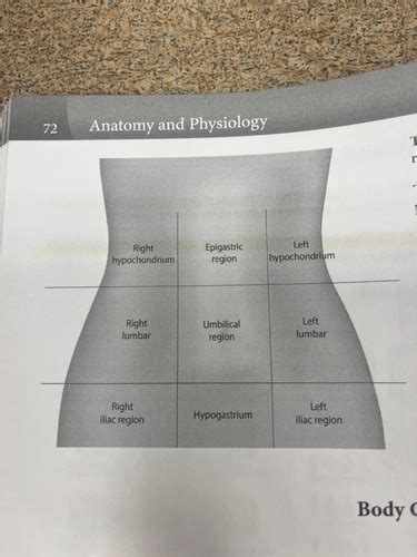 Anatomy And Physiology 1 Flashcards Quizlet