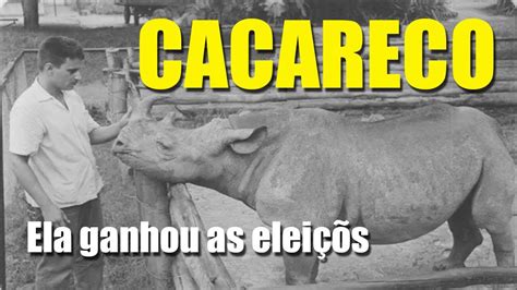 CACARECO O CURIOSO RINOCERONTE QUE RECEBEU 100 MIL VOTOS NA CÂMARA DOS