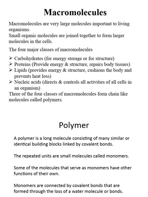 16-06-2023 CHM 004 - Macromolecules | PDF | Fatty Acid | Nucleotides 