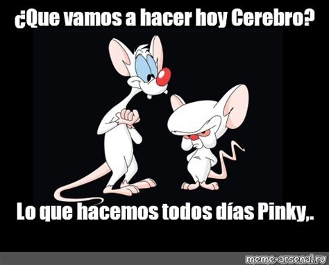 Meme Que Vamos A Hacer Hoy Cerebro Lo Que Hacemos Todos D As Pinky