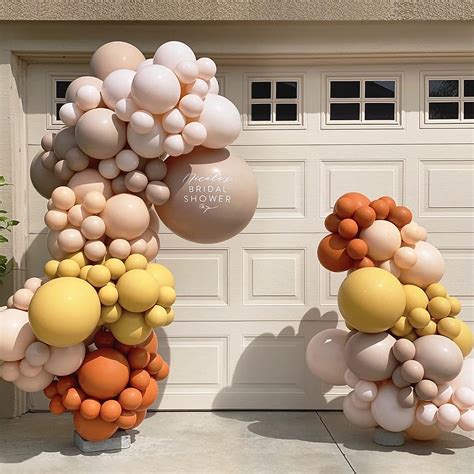 Amazon DIY 116Pcs Double Stuffed Balloon Garland Arch Kit