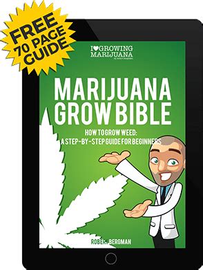 Download Free Marijuana Grow Guide - Weed Seeds USA