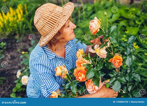 Mujer Mayor Que Recolecta Las Flores En Jard N Mujer De Mediana Edad