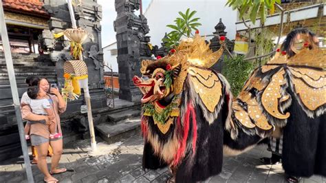 BARONG BIG SIZE Di Tonton IBU MUDA SEMETON MUNGGU NGELAWANG DI