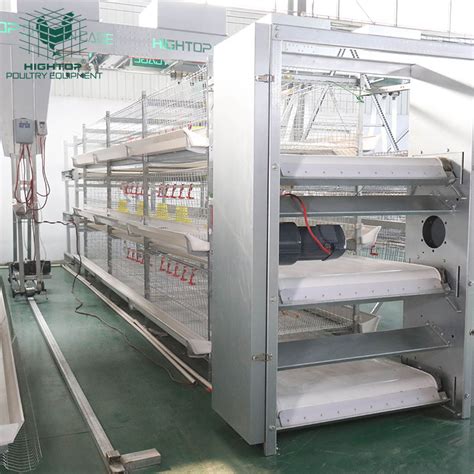 Hot Sell Poultry Farming Equipment H Type Automatic System Battery