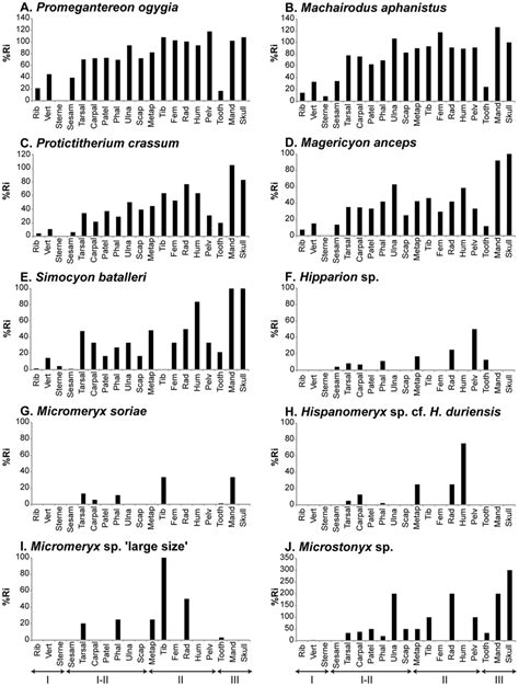 Skeletal Element Proportions Expressed As Relative Abundance Ri In