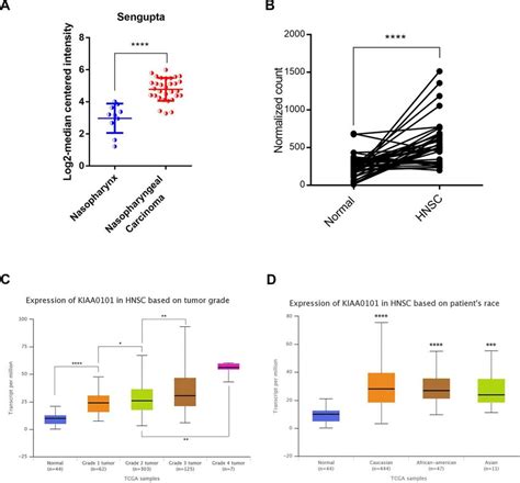 The High Level Expression Of KIAA0101 In TCGA HNSC And Sengupta NPC