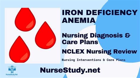 Iron Deficiency Anemia Nursing Diagnosis And Nursing Care Plan