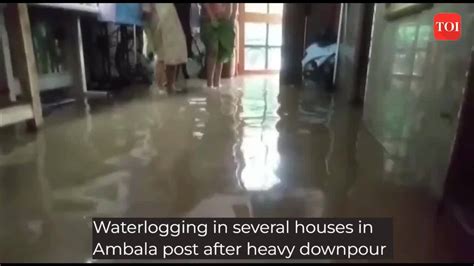 Waterlogging In Several Houses In Ambala After Heavy Rainfall News