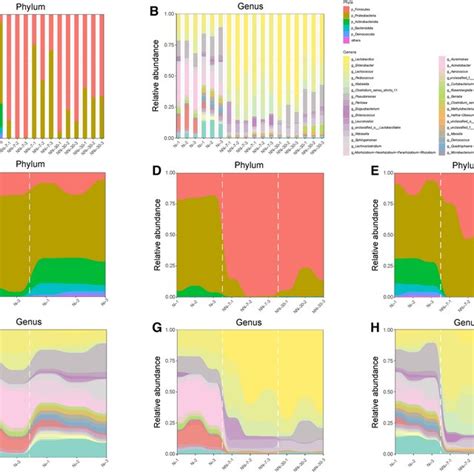 Bacterial Community Composition And Succession Of Fresh And Fermented Download Scientific