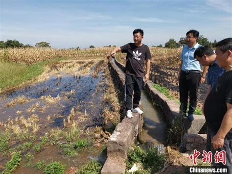 高温致重庆33个区县部分地区土壤轻到重度缺墒 正全力抗旱保供水 大河网