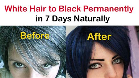 How To Change White Hair Into Black Hair Naturally Nathaniel Famand