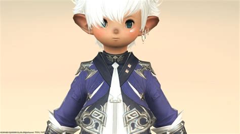 Glamour New Alphinaud Equipment And Hairstyle And Hair Color Pattern