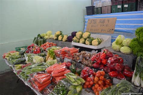 Sayur Cameron Highland Xplorasi Destinasi