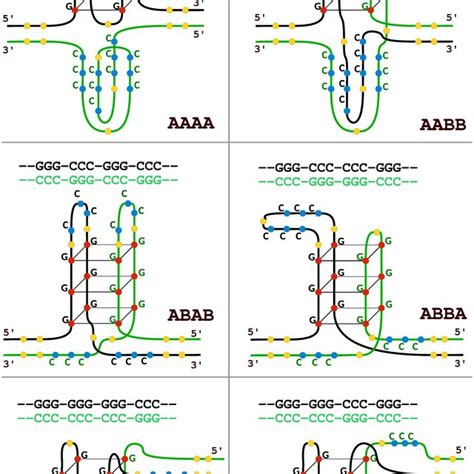 Examples Of Topology Classes Of G Quadruplex Structures Within Genomic