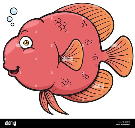 Vector Illustration De Poisson Dessin Anim Image Vectorielle Stock Alamy