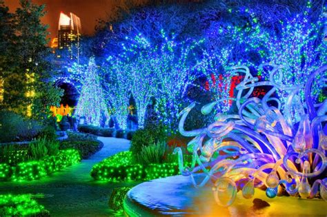 Botanical Gardens Charlotte Nc Christmas Lights - Beautiful Insanity