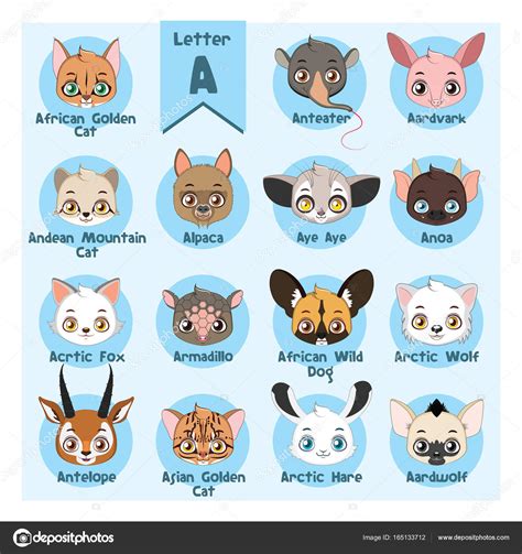 Animal portrait alphabet - Letter A Stock Illustration by ©AgnesSz ...