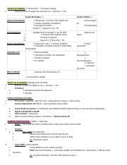 ANP1107 Midterm 2 Docx EFFECTS OF INSULIN Glucose BV Glycogen