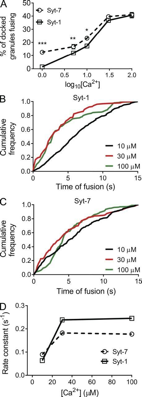 Ca² dependence of fusion in permeabilized cells Syt 1 or Syt 7 was