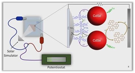 CdSe Quantum Dots - CD Bioparticles