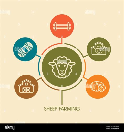 Sheep Farming Icon And Agriculture Infographics Farm Sign Graph