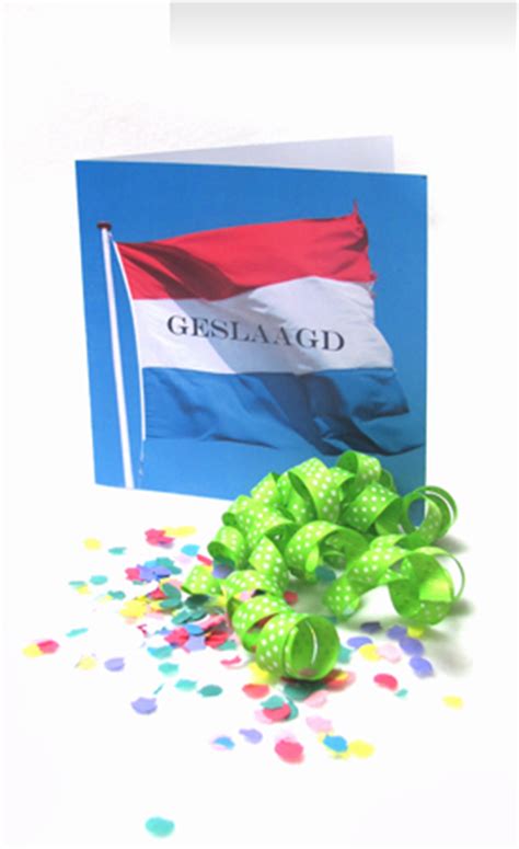 je diploma rijbewijs  propedeuse gehaald je bent geslaagd