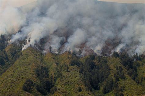 FOTO Kebakaran Hutan Dan Lahan Gunung Bromo Meluas