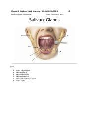 A Chapter Head And Neck Anatomy Salivary Glands Done Docx Chapter