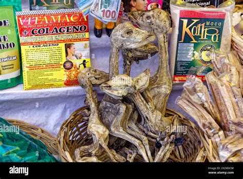 La Paz Bolivia 10th Jan 2024 The Witch Market Mercado De Las