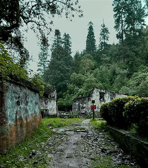 Sab As Que La Cdmx Tiene Una Joya Verde Conoce El Parque Nacional