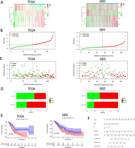 Prognostic Efficacy Of The Hypoxia Risk Score In Pac A The Expression