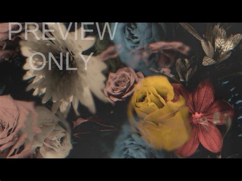 Deep Beauty Collection | Timber & Pearl | WorshipHouse Media
