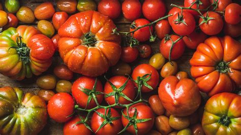 12 Facts You Need To Know About San Marzano Tomatoes