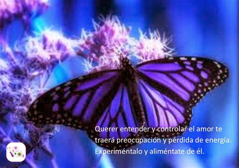 El Lenguaje De Las Mariposas Entendimiento Y Control